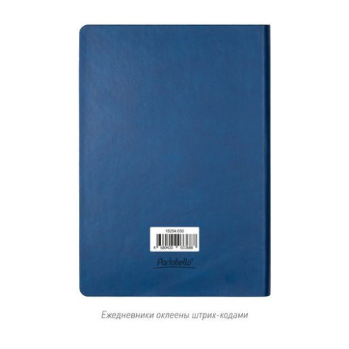 Ежедневник Латте (Latte NEW) недатированный, синий/голубой