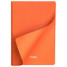 Ежедневник Латте (Latte NEW) недатированный, оранжевый/оранжевый Ежедневник Латте (Latte NEW) недатированный, оранжевый/оранжевый