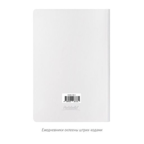 Ежедневник Ривер Сайд (River side) недатированный, белый (без упаковки, без стикера)