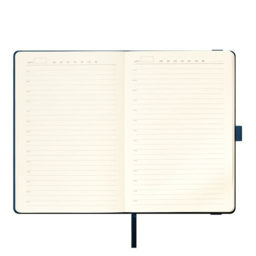 Ежедневник Альфа (Alpha) недатированный, синий/голубой Ежедневник Альфа (Alpha) недатированный, синий/голубой