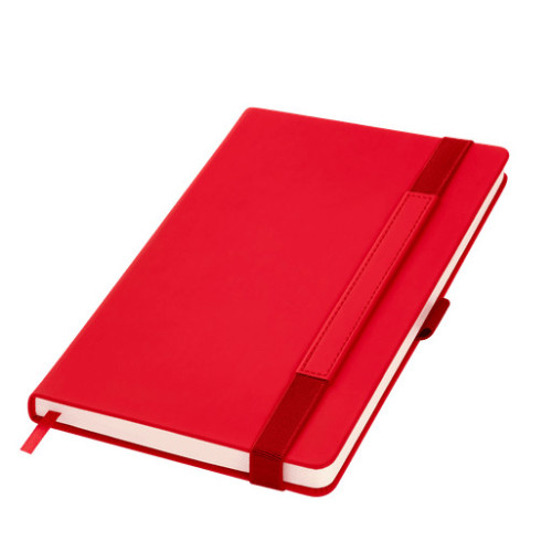 Ежедневник Альфа (Alpha) недатированный, красный/серый Ежедневник Альфа (Alpha) недатированный, красный/серый