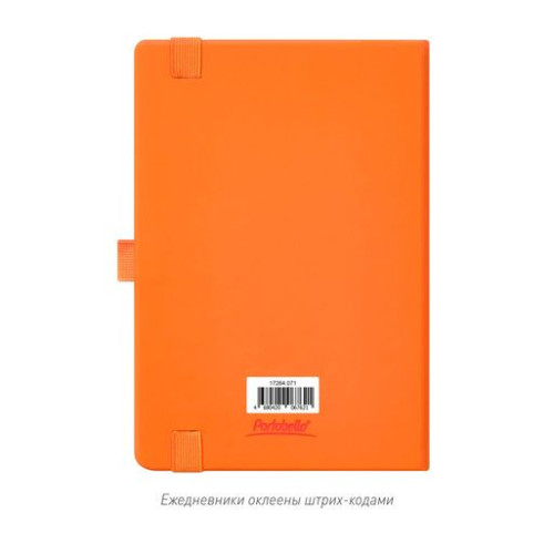 Ежедневник Альфа (Alpha) недатированный, оранжевый/оранжевый Ежедневник Альфа (Alpha) недатированный, оранжевый/оранжевый