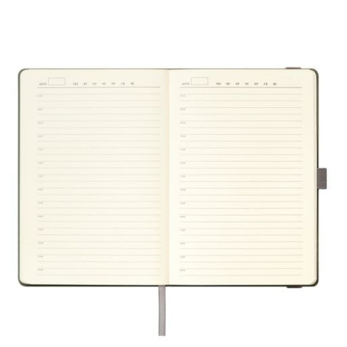 Ежедневник Альфа (Alpha) недатированный, серый/бирюзовый Ежедневник Альфа (Alpha) недатированный, серый/бирюзовый