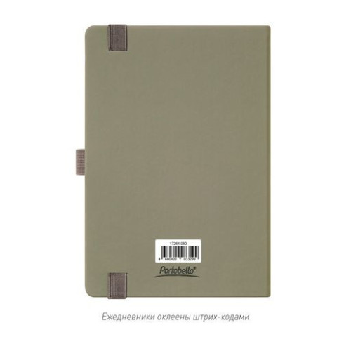 Ежедневник Альфа (Alpha) недатированный, серый/бирюзовый Ежедневник Альфа (Alpha) недатированный, серый/бирюзовый