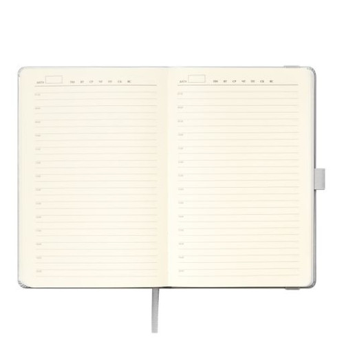 Ежедневник Альфа (Alpha) недатированный, серебро/серый