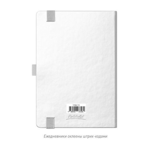 Ежедневник Альфа (Alpha) недатированный, серебро/серый