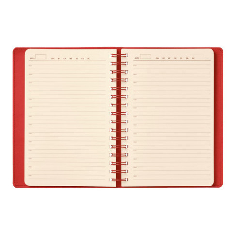 Ежедневник Виста (Vista) недатированный, черный/красный