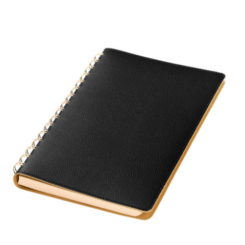 Ежедневник Виста (Vista) недатированный, черный/бежевый