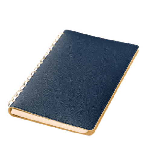 Ежедневник Виста (Vista) недатированный, синий/бежевый