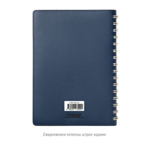 Ежедневник Виста (Vista) недатированный, синий/бежевый