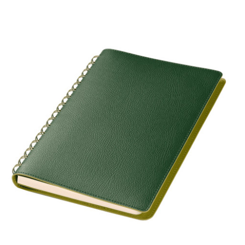 Ежедневник Виста (Vista) недатированный, зеленый/салатовый