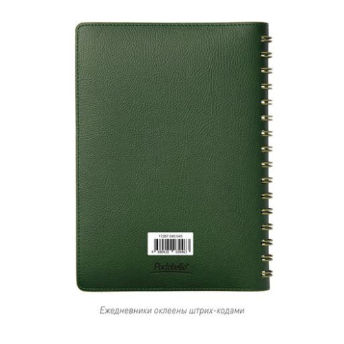 Ежедневник Виста (Vista) недатированный, зеленый/салатовый