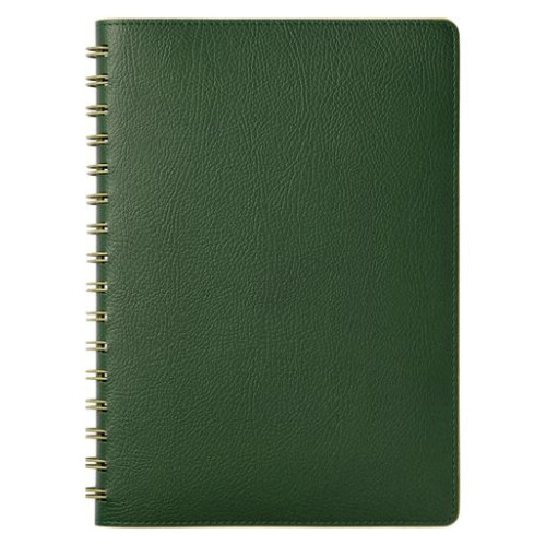 Ежедневник Виста (Vista) недатированный, зеленый/салатовый
