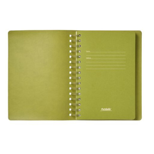 Ежедневник Виста (Vista) недатированный, зеленый/салатовый