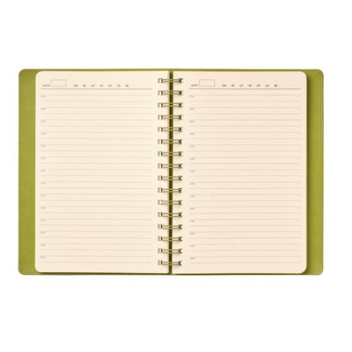 Ежедневник Виста (Vista) недатированный, зеленый/салатовый
