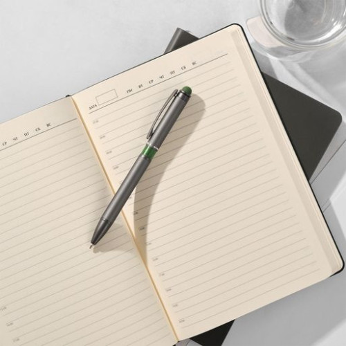 Шариковая ручка АйПи Хамелеон (IP Chameleon), зеленая