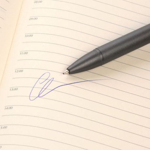 Шариковая ручка АйПи Хамелеон (IP Chameleon), красная