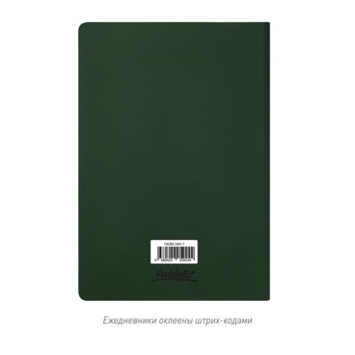 Ежедневник Спарк (Spark) недатированный, зеленый (без упаковки, без стикера)