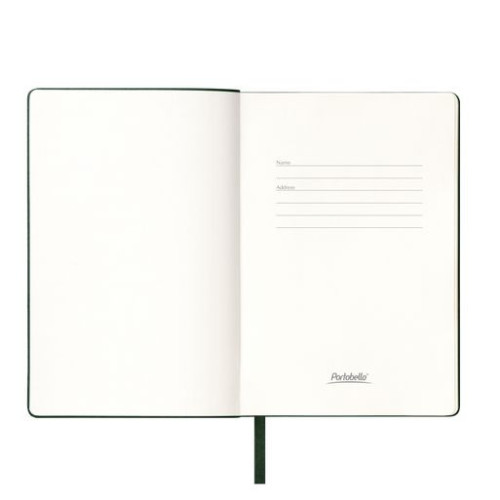 Ежедневник Спарк (Spark) недатированный, зеленый (без упаковки, без стикера)