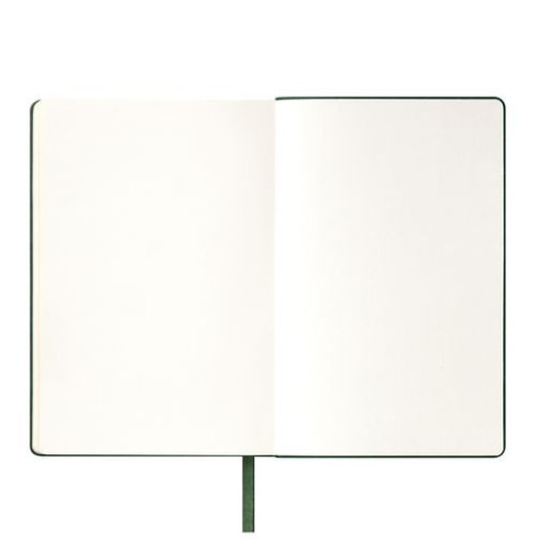 Ежедневник Спарк (Spark) недатированный, зеленый (без упаковки, без стикера)