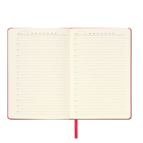 Ежедневник Спарк (Spark) недатированный, красный (с упаковкой, со стикерами)