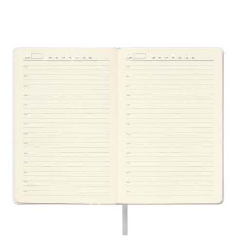 Ежедневник Спарк (Spark) недатированный, серебряный (без упаковки, без стикера)