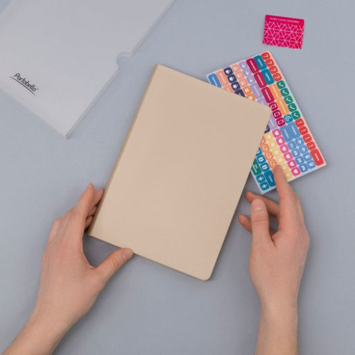 Ежедневник Спарк (Spark) недатированный, белое золото (с упаковкой, со стикерами)