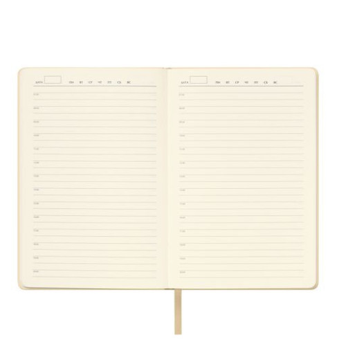 Ежедневник Спарк (Spark) недатированный, белое золото (с упаковкой, со стикерами)