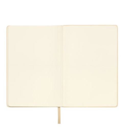 Ежедневник Спарк (Spark) недатированный, белое золото (с упаковкой, со стикерами)