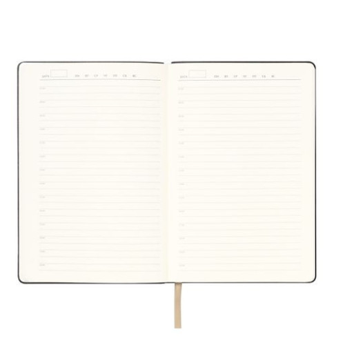 Ежедневник Спарк (Spark) недатированный, белое золото (без упаковки, без стикера)