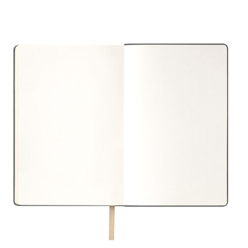 Ежедневник Спарк (Spark) недатированный, белое золото (без упаковки, без стикера)