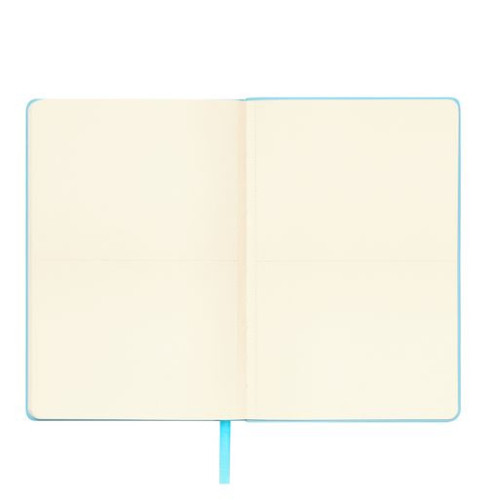 Ежедневник Спарк (Spark) недатированный, лазурный (с упаковкой, со стикерами)