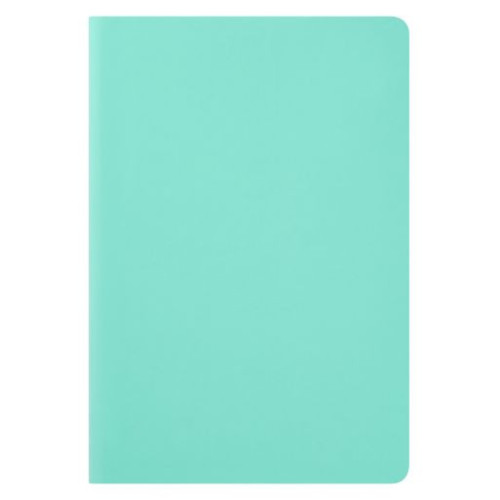 Ежедневник Спарк (Spark) недатированный, мятный (без упаковки, без стикера)