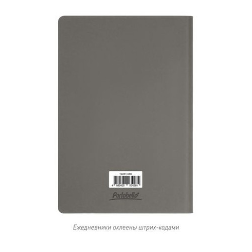 Ежедневник Стар (Star) недатированный, серый (с упаковкой, со стикерами) Ежедневник Стар (Star) недатированный, серый (с упаковкой, со стикерами)