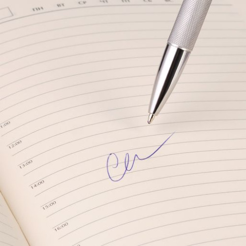 Шариковая ручка Леви (Levi), серая Шариковая ручка Леви (Levi), серая