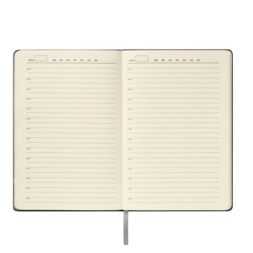 Ежедневник Теоло (Teolo) недатированный, серый