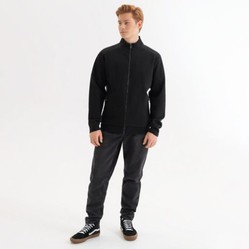 Толстовка на молнии Астин (Astin) черная