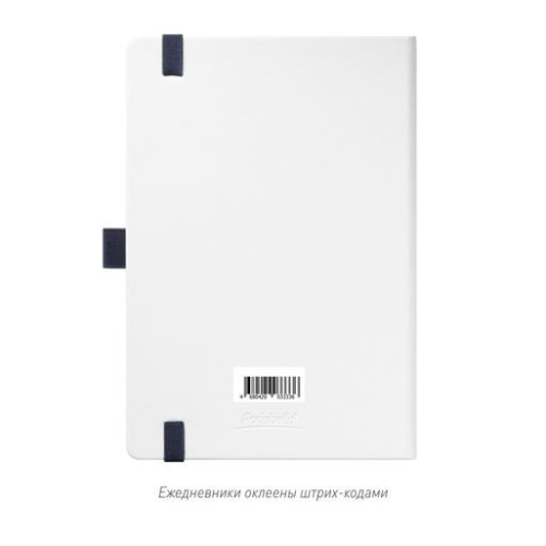 Ежедневник Арктик (Arctic) недатированный, белый/синий