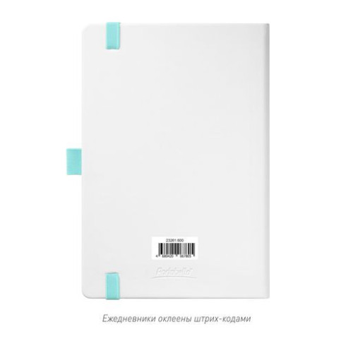 Ежедневник Арктик (Arctic) недатированный, белый/бирюзовый