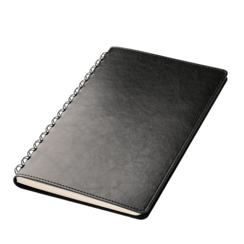 Ежедневник Виста Нео (Vista Neo) недатированный, черный