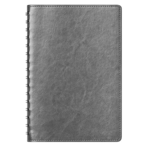 Ежедневник Виста Нео (Vista Neo) недатированный, серый