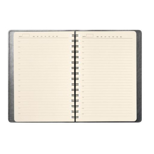 Ежедневник Виста Нео (Vista Neo) недатированный, серый