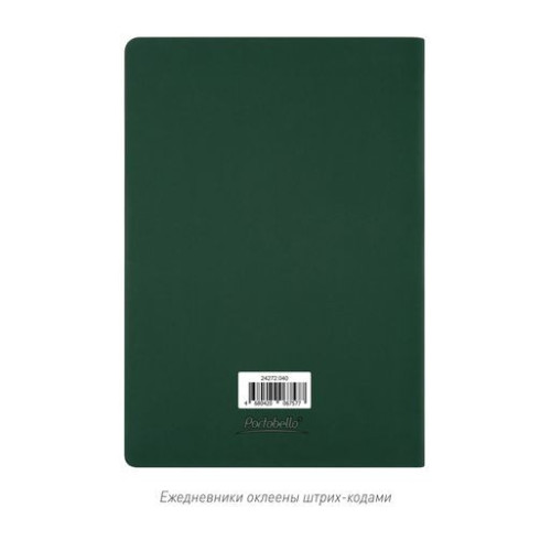 Ежедневник Латте софт-тач (Latte soft touch) недатированный, зеленый