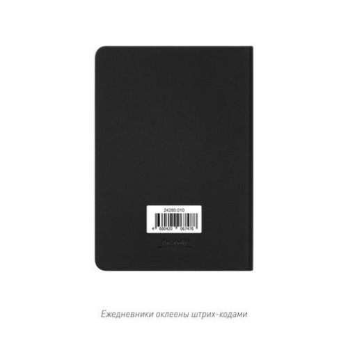 Ежедневник Спарк мини (Spark mini) A6 недатированный, черный