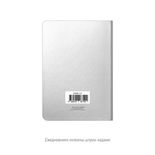Ежедневник Спарк мини (Spark mini) A6 недатированный, серебряный