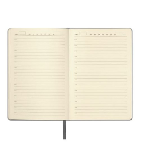 Ежедневник Молто (Molto) недатированный, серебряный Ежедневник Молто (Molto) недатированный, серебряный