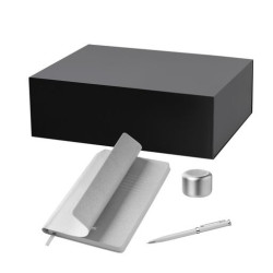 Подарочный набор Пэшн, Молто (Passion, Molto), серебряный (колонка, ежедневник, ручка)