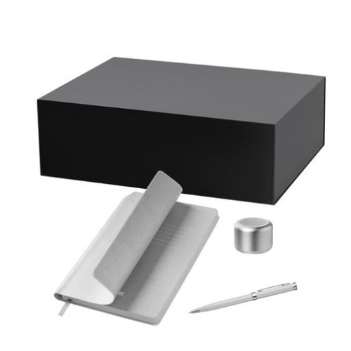 Подарочный набор Пэшн, Молто (Passion, Molto), серебряный (колонка, ежедневник, ручка)