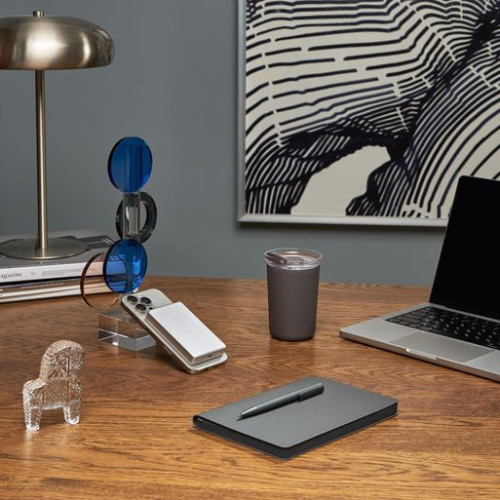 Шариковая ручка Аспен (Aspen), серая Шариковая ручка Аспен (Aspen), серая