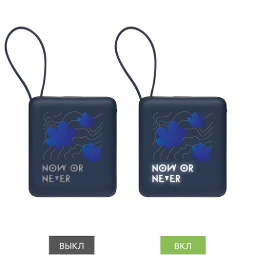 Внешний аккумулятор с подсветкой Риттер PD (Ritter PD) 10000mAh с функцией беспроводной зарядки 15W, синий